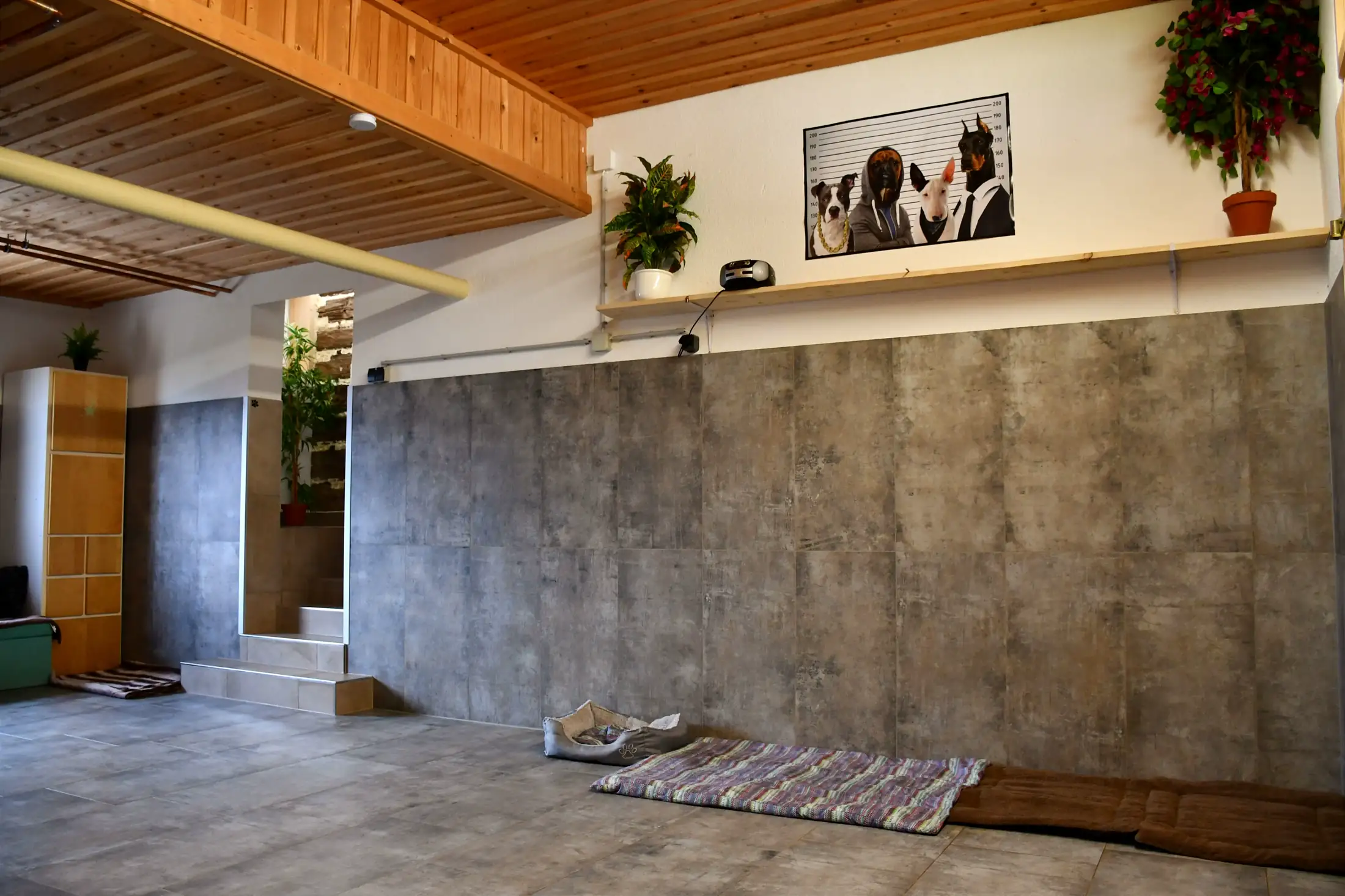 Gallery image 6